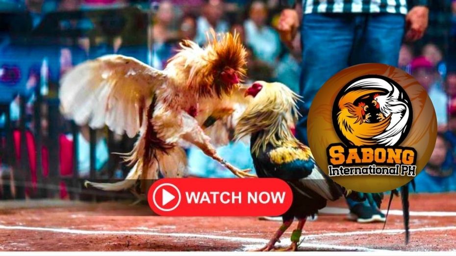 casino night outfit how to bet on racing